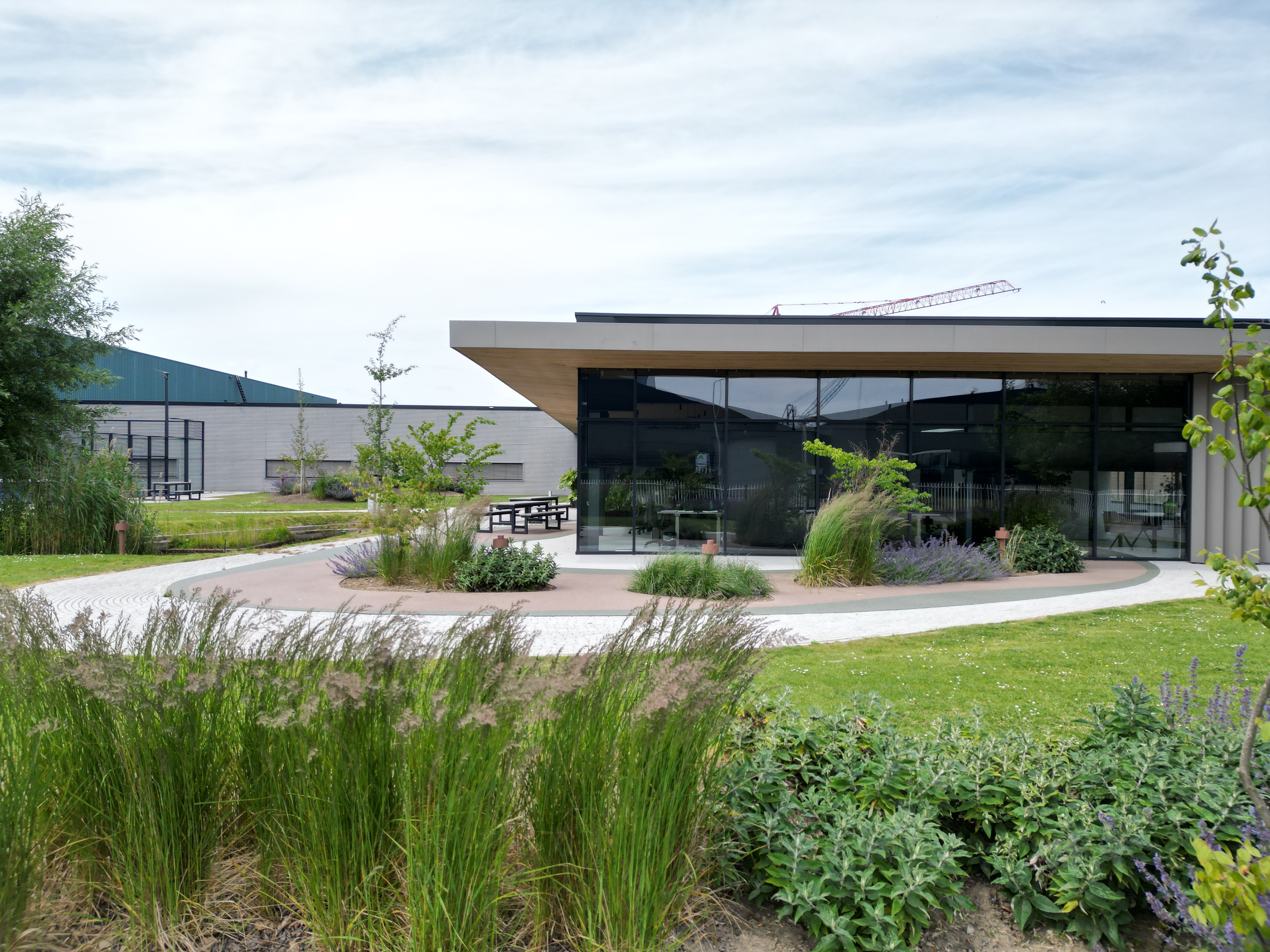JUUL courtyard visualization